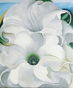 O'Keeffe_bella_donna